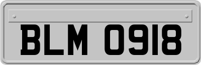 BLM0918