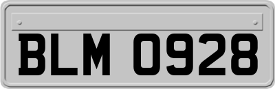 BLM0928