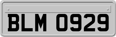 BLM0929