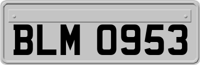 BLM0953