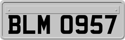 BLM0957