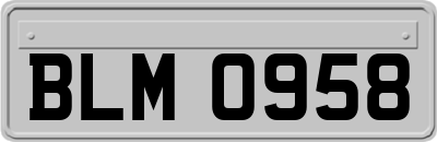 BLM0958
