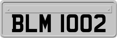 BLM1002