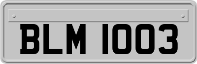 BLM1003