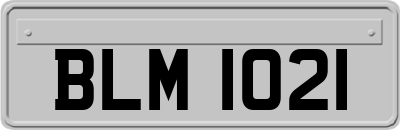 BLM1021