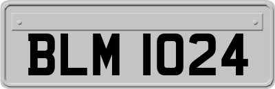 BLM1024