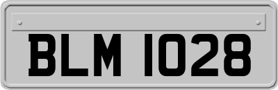 BLM1028