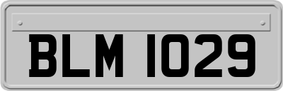 BLM1029