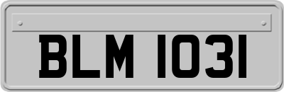 BLM1031