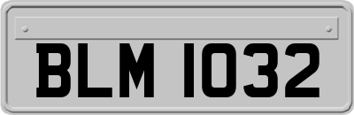BLM1032