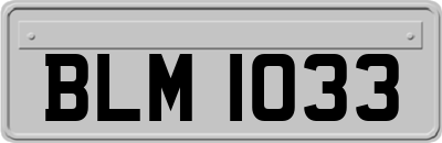 BLM1033