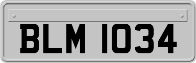 BLM1034