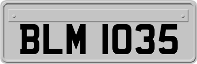 BLM1035