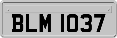BLM1037