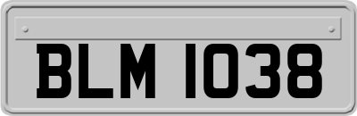 BLM1038