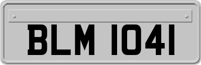 BLM1041