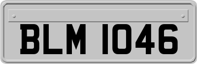BLM1046