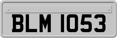 BLM1053