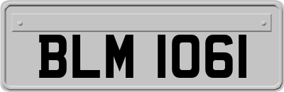 BLM1061