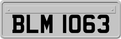 BLM1063