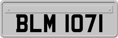 BLM1071