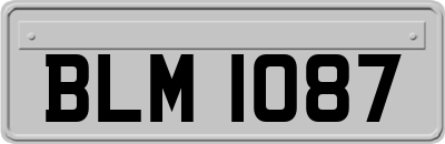 BLM1087