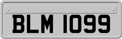 BLM1099