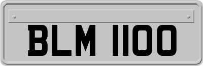 BLM1100