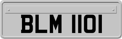BLM1101