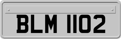 BLM1102
