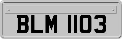 BLM1103