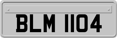 BLM1104