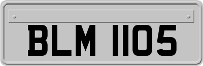 BLM1105