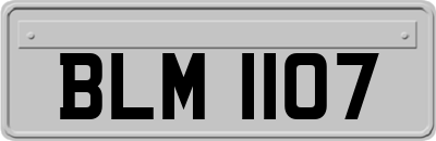 BLM1107