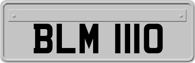 BLM1110