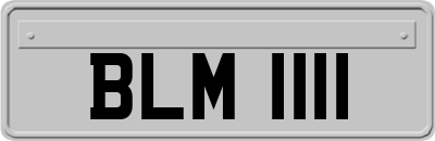 BLM1111