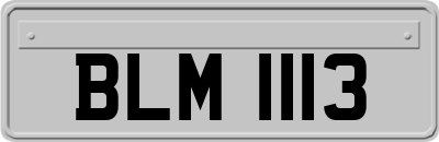 BLM1113