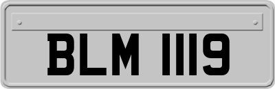 BLM1119