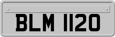 BLM1120
