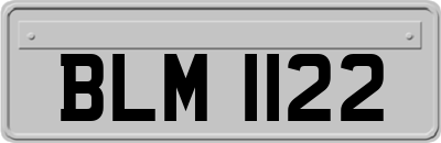 BLM1122