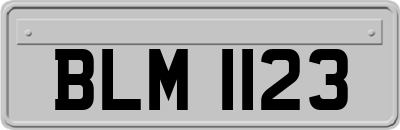 BLM1123