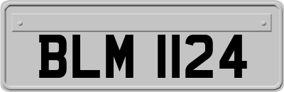 BLM1124