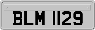 BLM1129