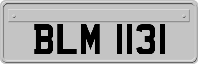 BLM1131