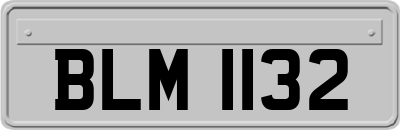BLM1132