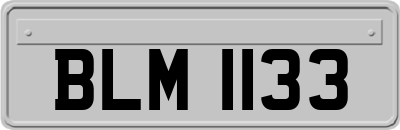 BLM1133
