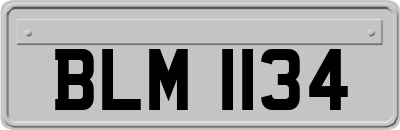BLM1134