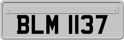 BLM1137