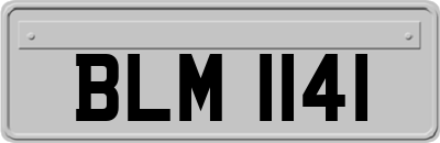 BLM1141