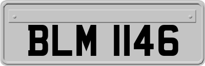 BLM1146